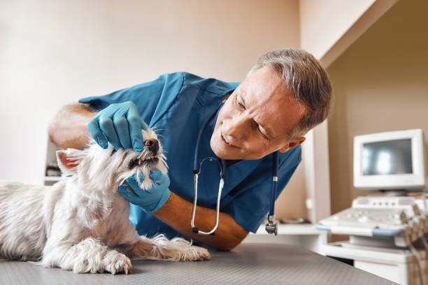 Best Emergency Dental Surgery in Hettinger, ND